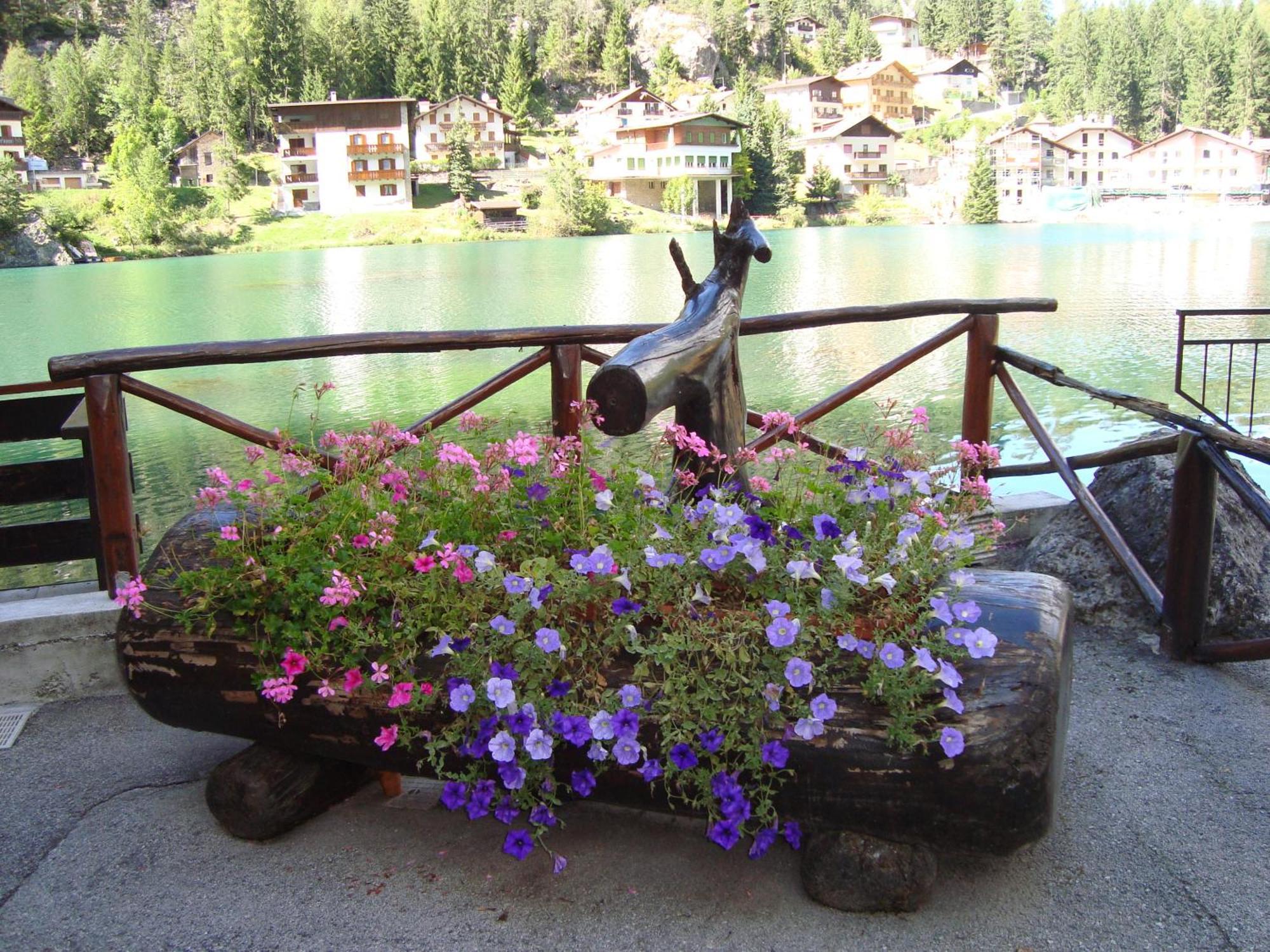 Hotel Adriana 3*